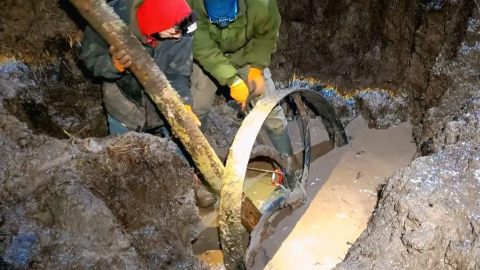 Фото: поисковый отряд «КитежЪ»