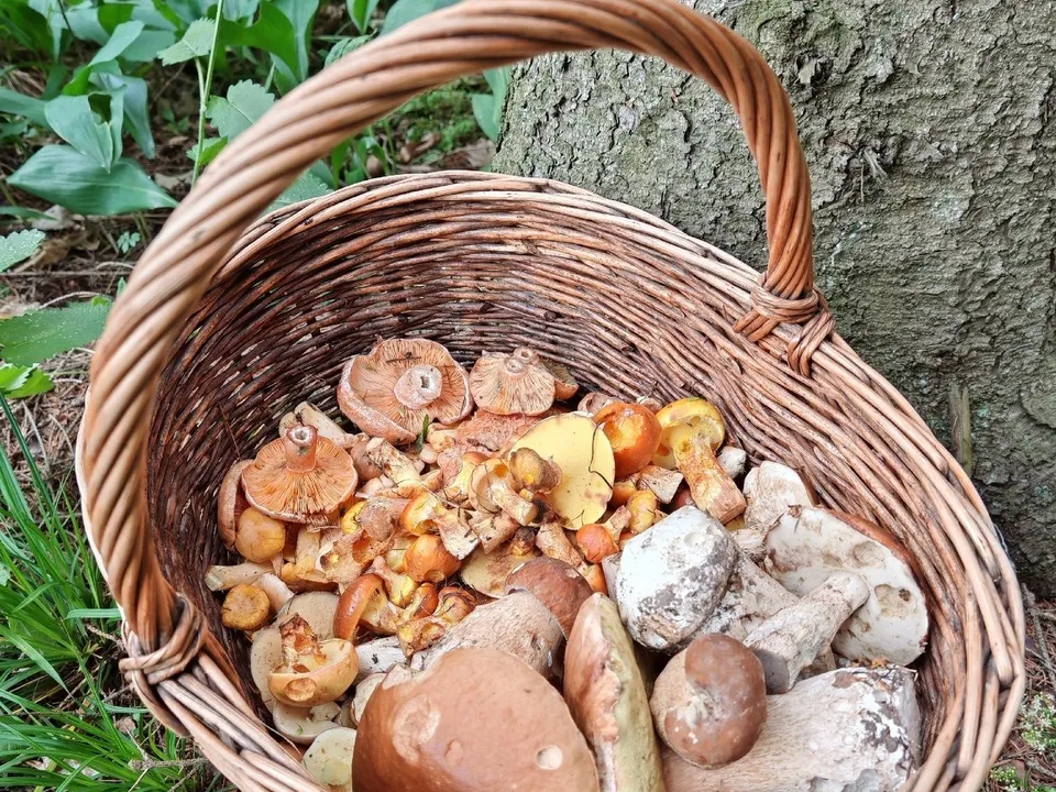 Фото: Константин Кошелев