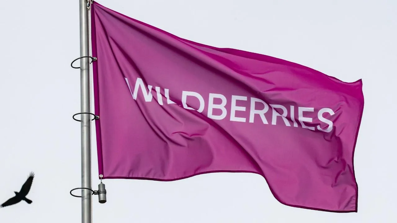 Wildberries отменил комиссию за оплату по картам Visa и Mastercard