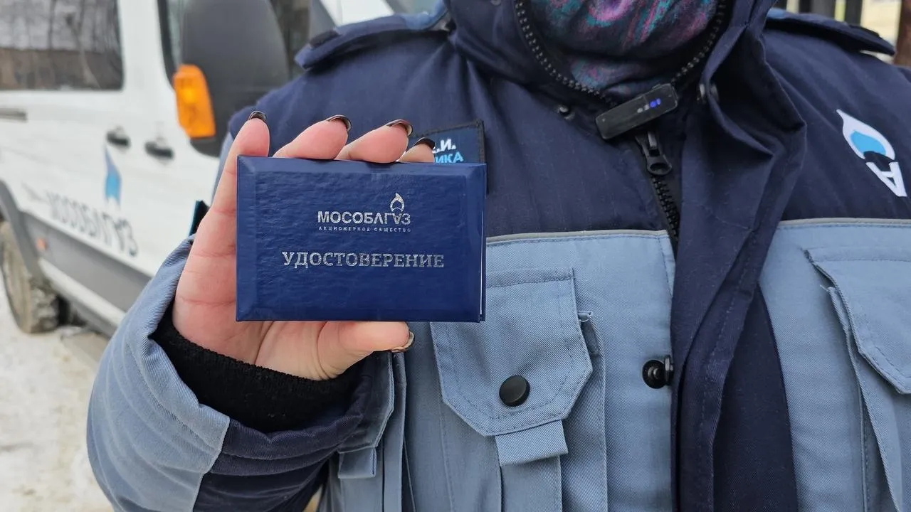 МедиаБанк Подмосковья/Анна Шолохова