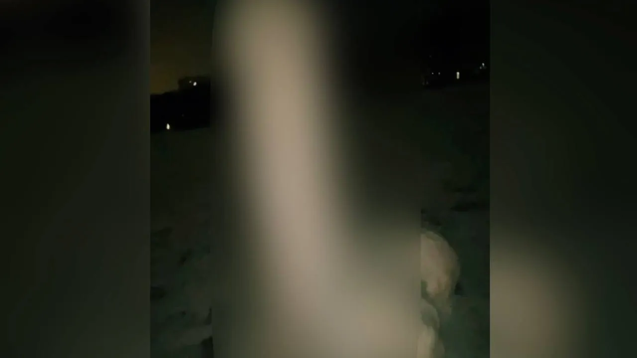 Фото: скрин с видео из телеграм-канала «В Балашихе|Все новости»