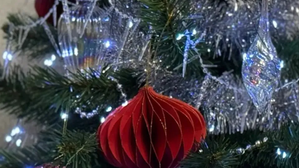 Фото: REGIONS/Дарина Левкина