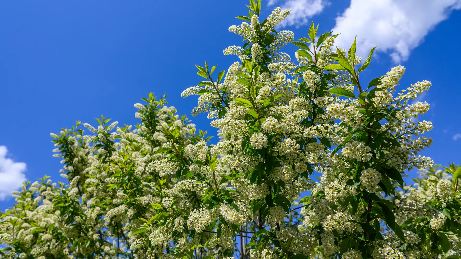 медиасток.рф