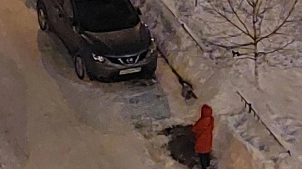 Фото: vk.com/Гринч Anti-New Year