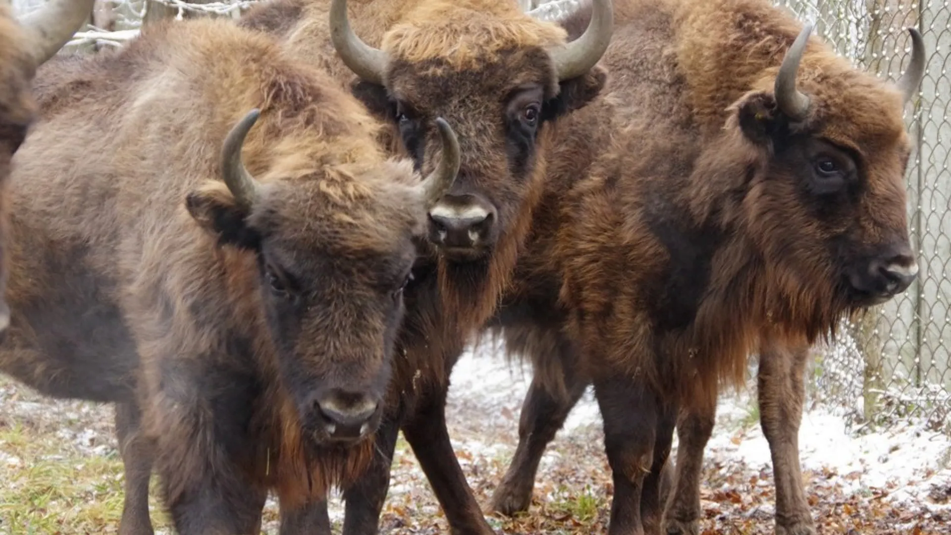 Фото: Ольга Калинина