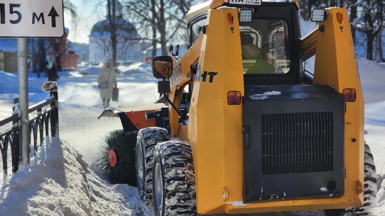 Елена Шумакова