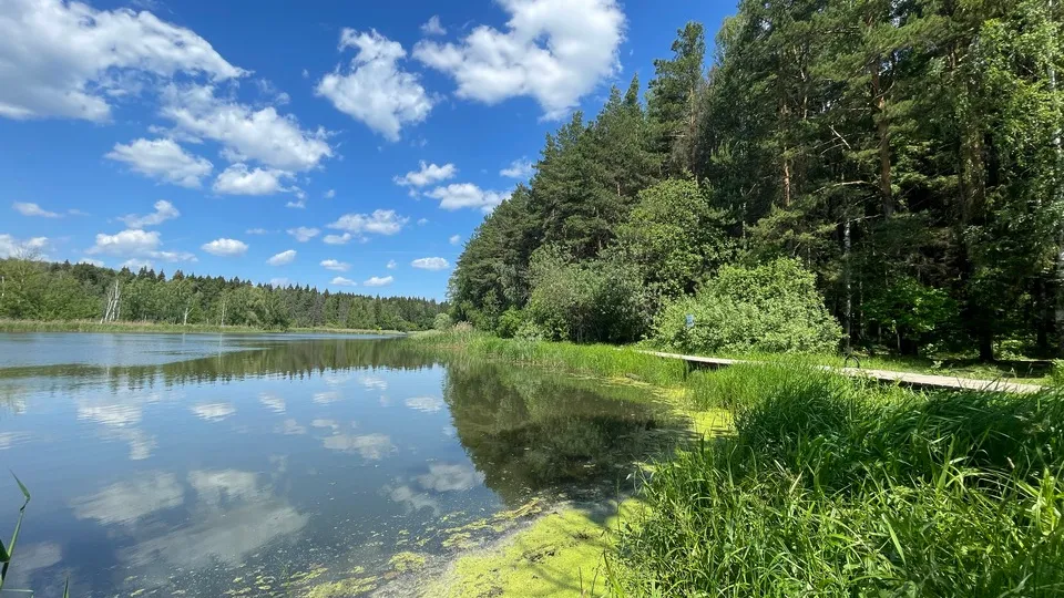 Фото: МедиаБанк Подмосковья/Никита Сморкалов