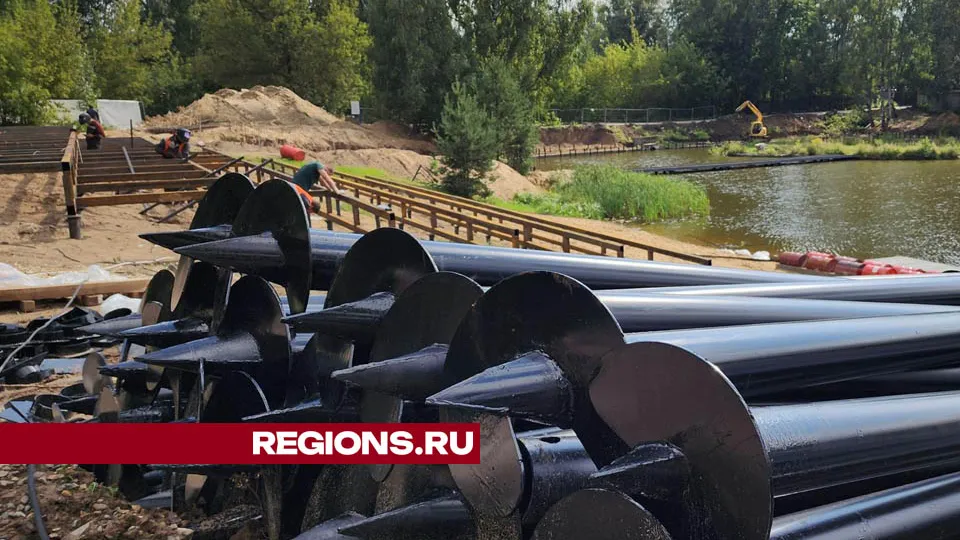 Фото: Валерия Тингаева