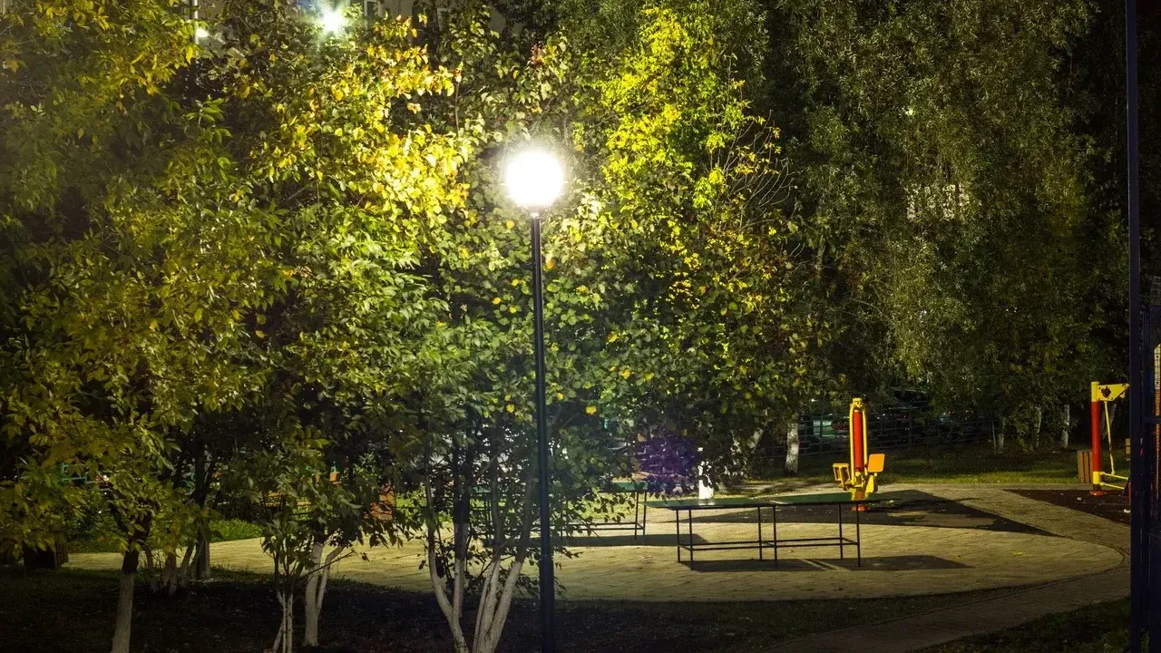 Фото: Министерство благоустройства МО