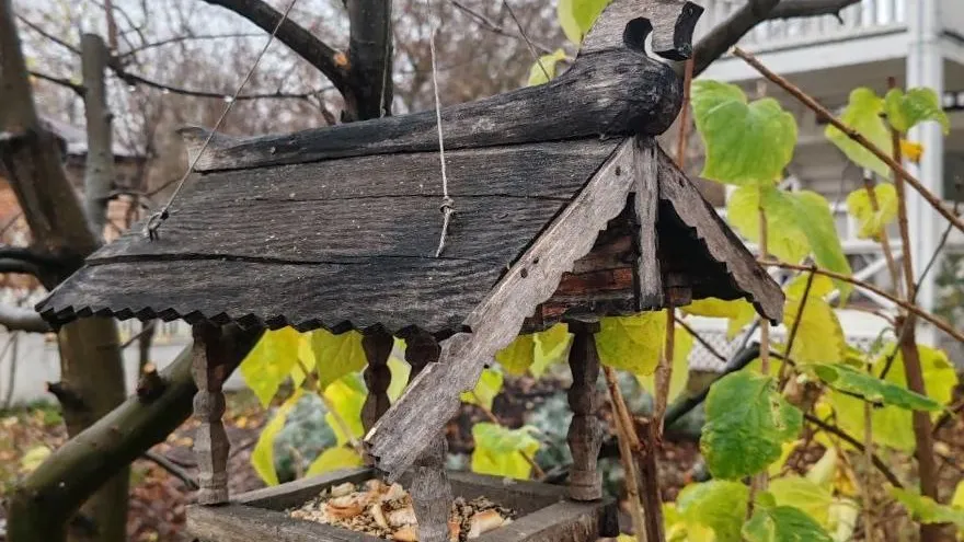 Уникальная кормушка из Белозерска появилась в коломенском музее