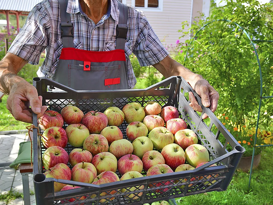 Фото: Наталья Бычкова