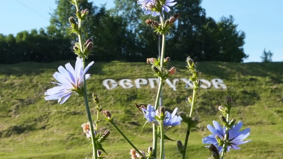 Фото: пресс-служба Администрации г.о. Серпухов