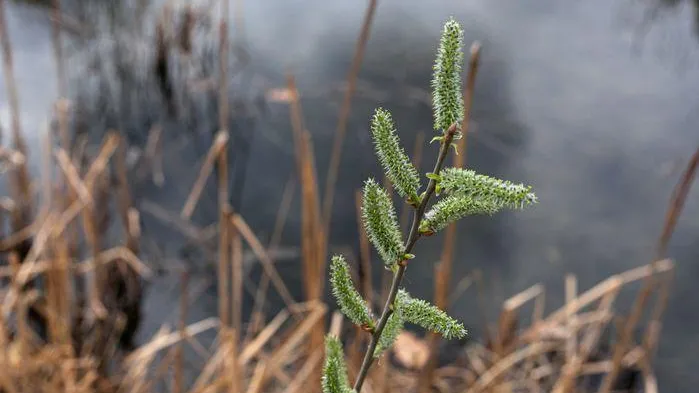 медиасток.рф