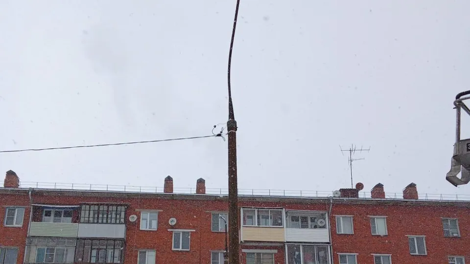 Фото: администрация м.о. Шаховская