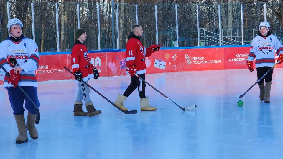 Фото: МедиаБанк Подмосковья/Андрей Семибратов