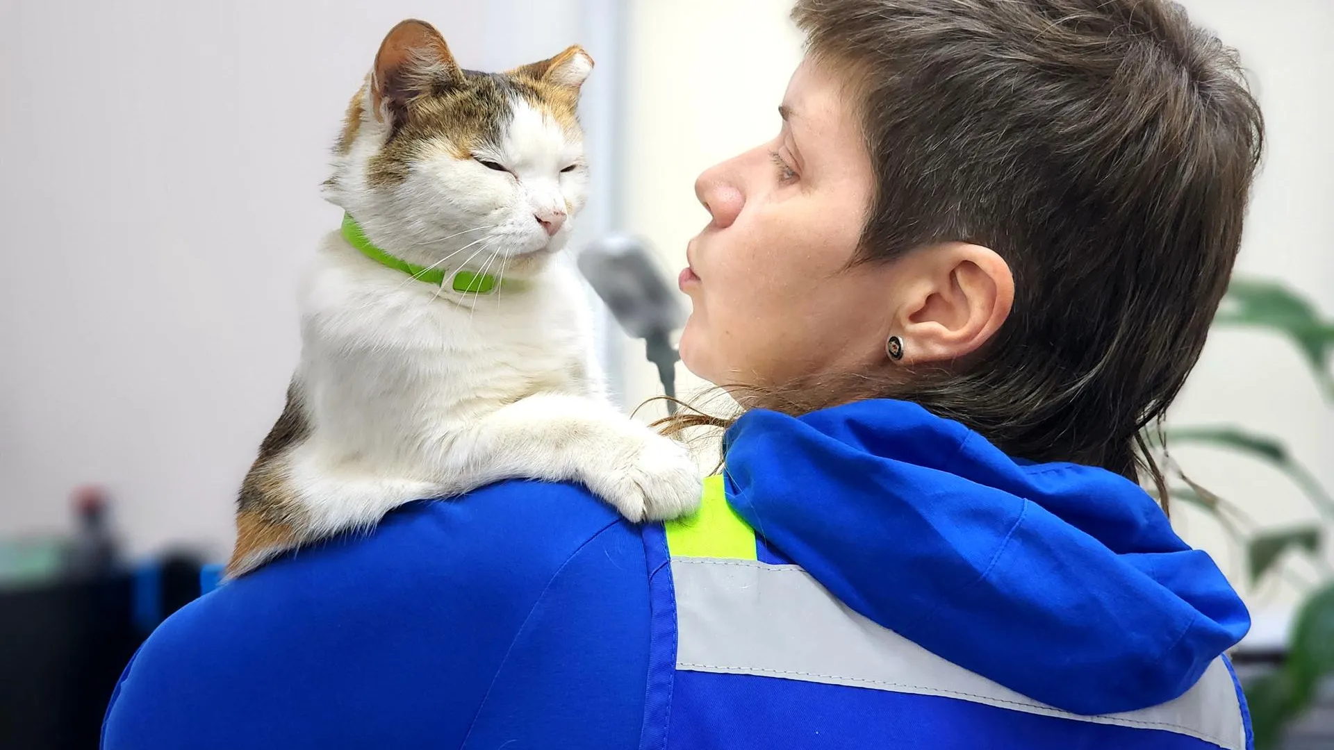 Фото: REGIONS/Полина Пахомова