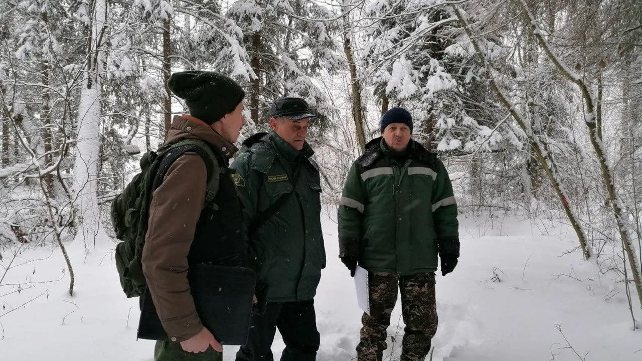 Комитет лесного хозяйства Московской области