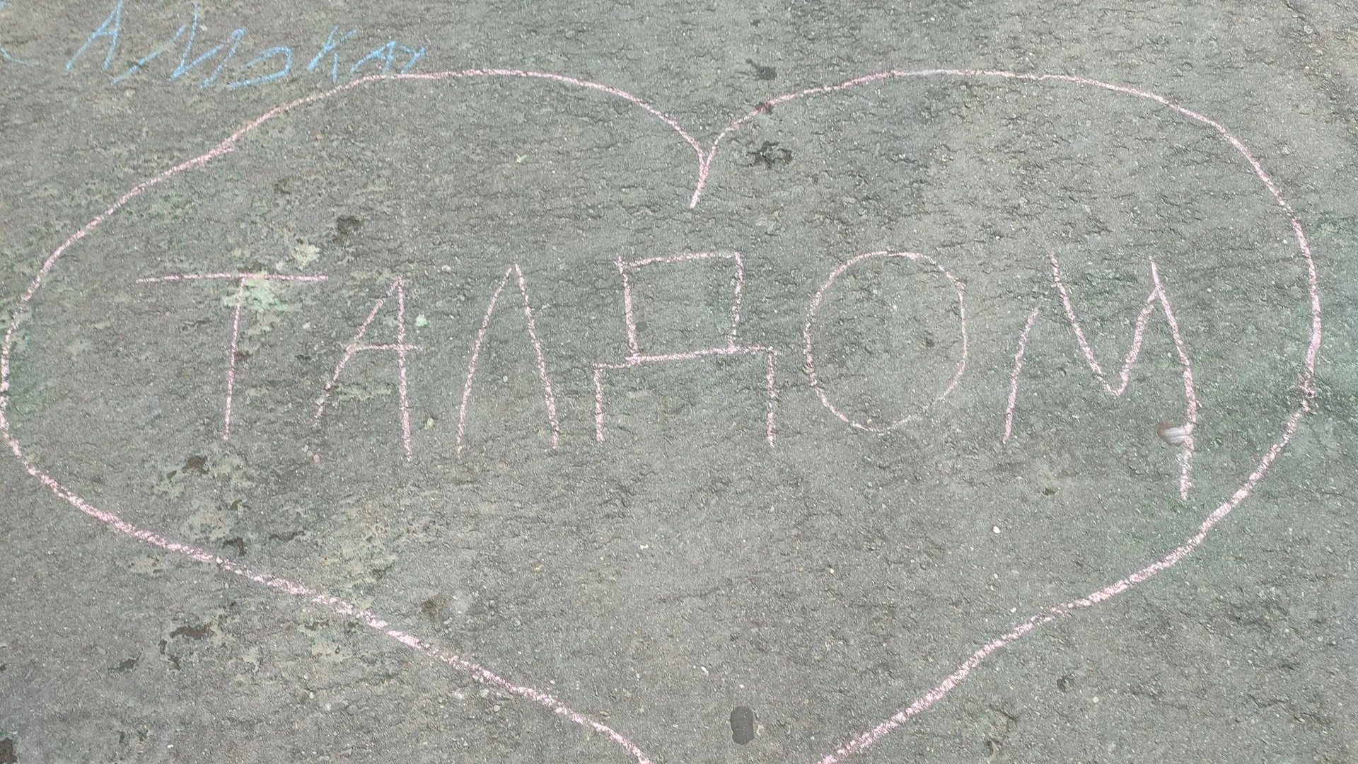 Анастасия Калмыкова