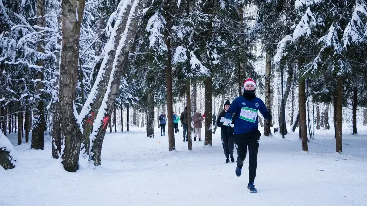 МАУК «Городские парки Домодедово»