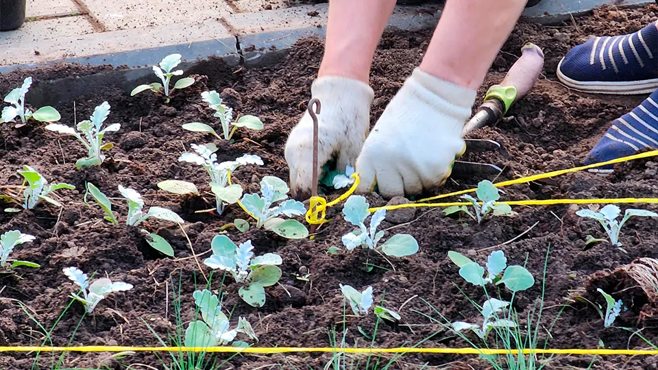 Фото: Роман Савельев