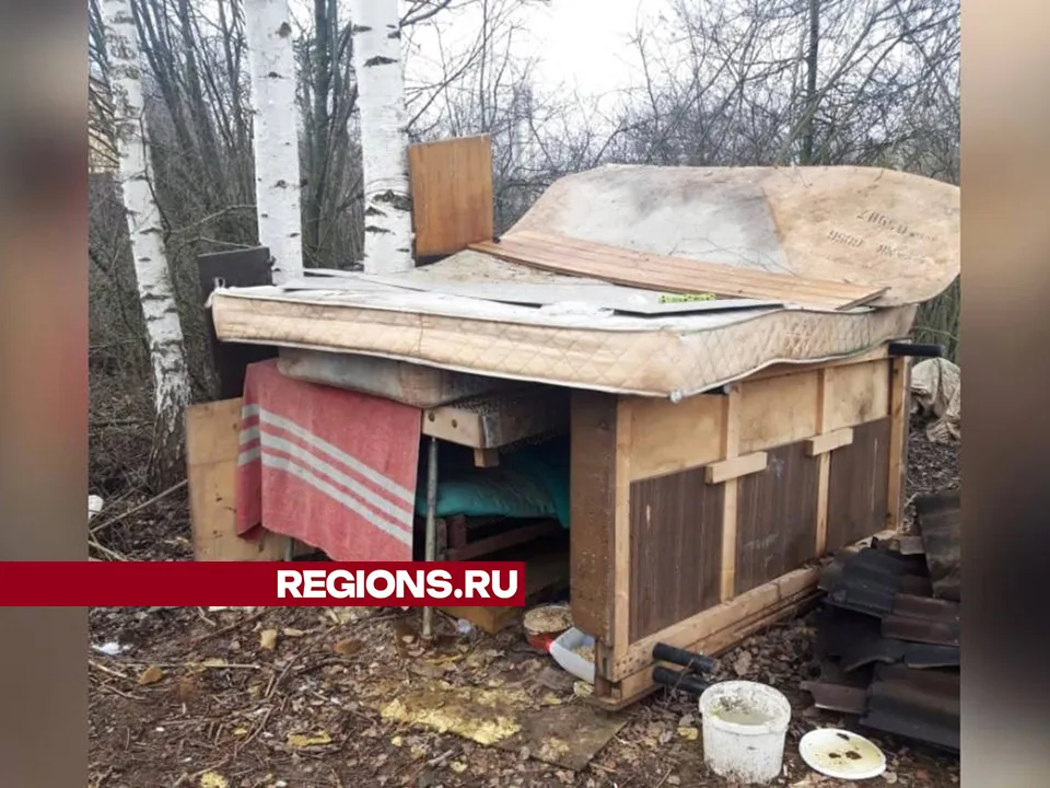 Будка, которую сделали пенсионеры для семьи собак. Фото: Татьяна Чебрякова