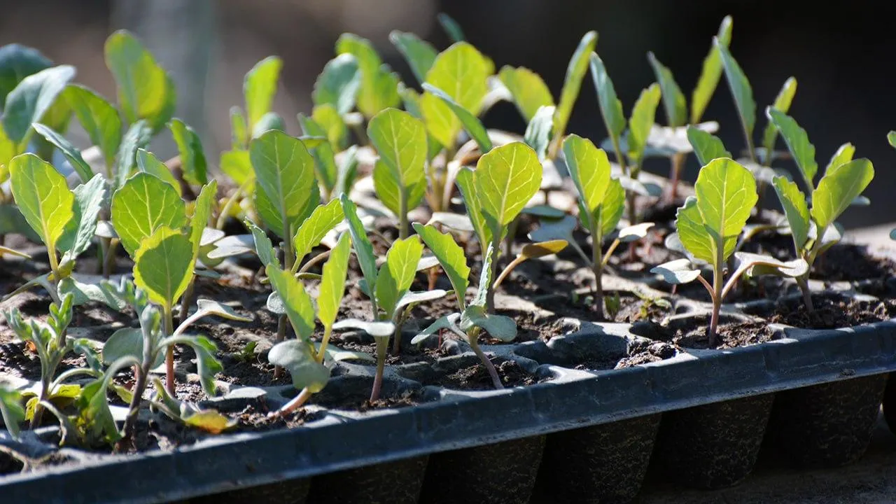 istockphoto.com/Orest Lyzhechka