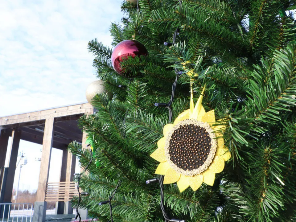 Фото: администрация м.о. Серебряные Пруды&nbsp;