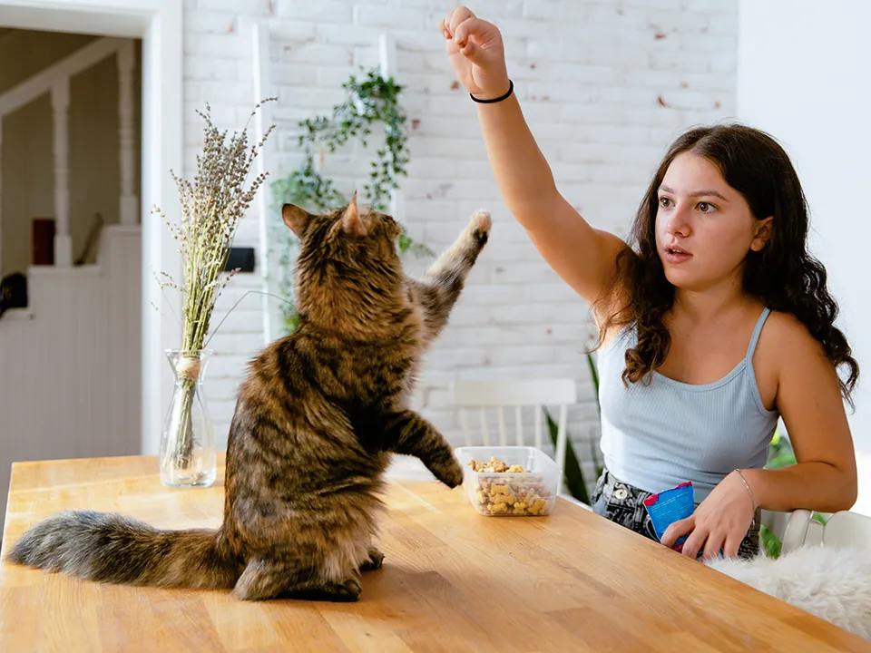 Фото: istockphoto.com/MelkiNimages