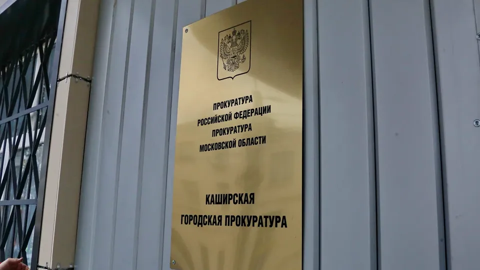 Фото: пресс-служба администрации г. о. Кашира