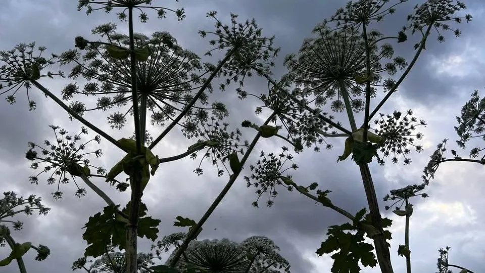 Фото: Елена Шумакова