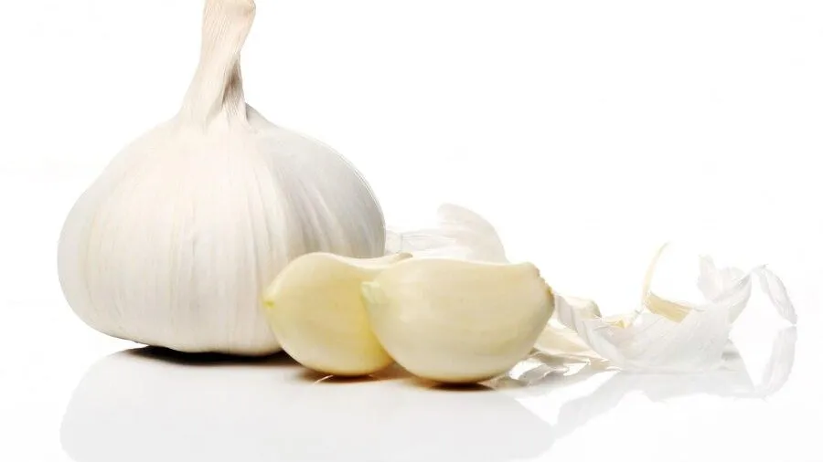 медиасток.рф