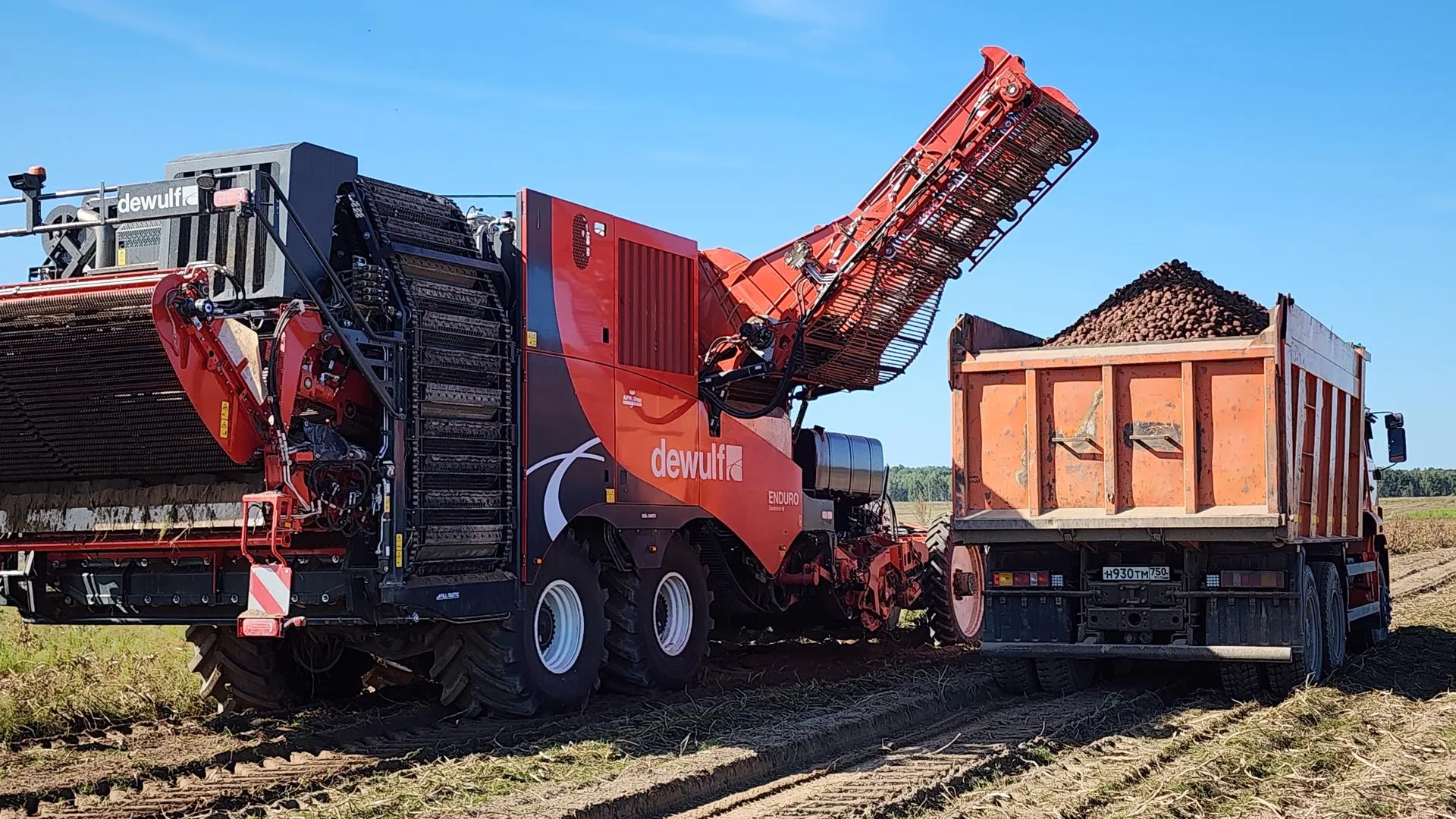 Фото: МедиабБанк Подмосковья/Юлия Андросова