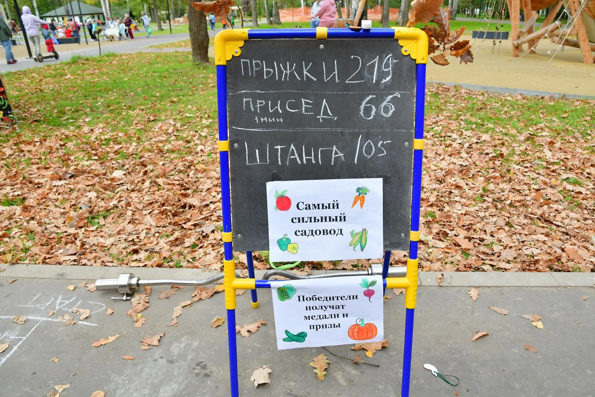 Фото: Наталья Бычкова/Ступинская панорама