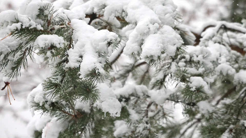 Фото: REGIONS/Ольга Пятикрестовская