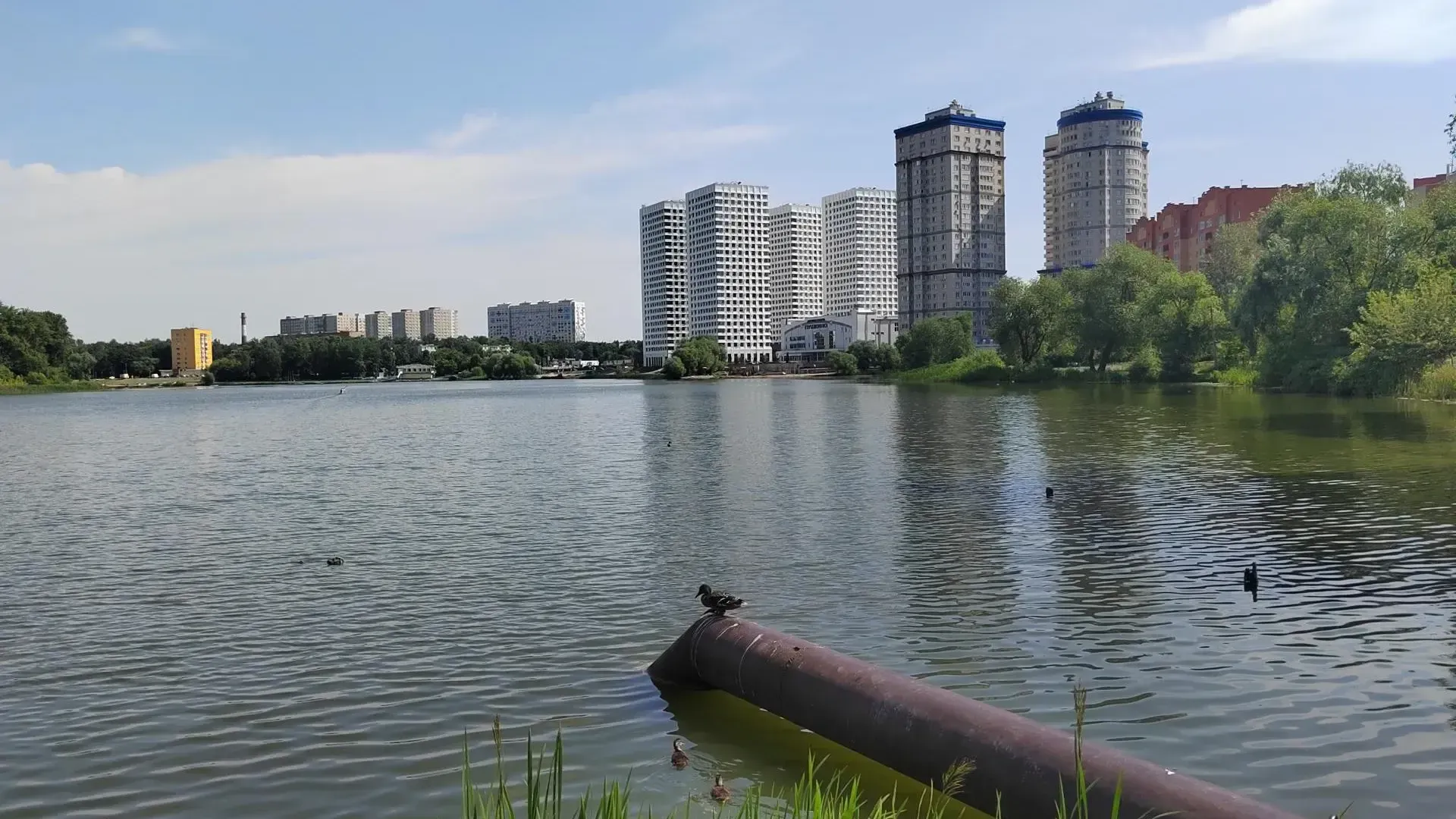 В Пушкино в рамках акции «Вода России» собрали 16 м³ мусора и 24 м³ порубочных материалов