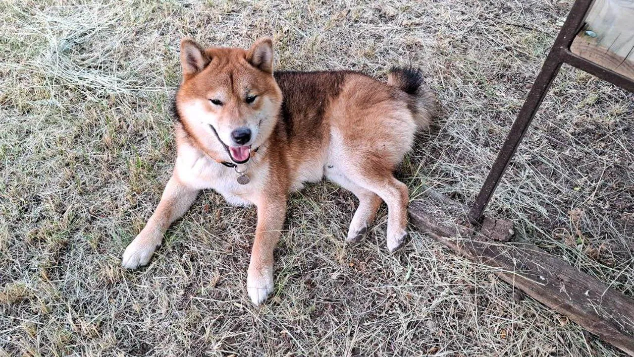 REGIONS/Юлия Габбасова