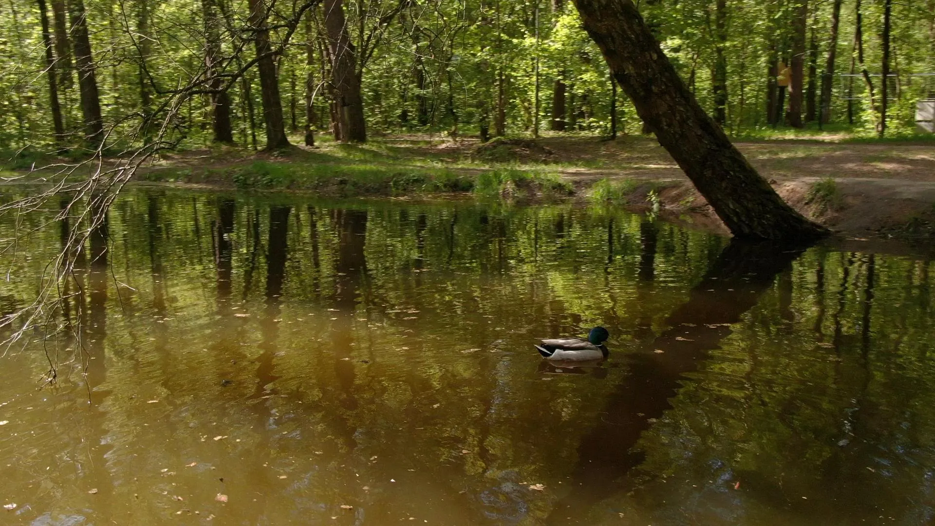 Фото: Ксения Борцова