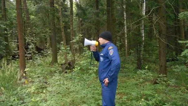 Пятьсот тридцать заблудившихся вывели из подмосковных лесов