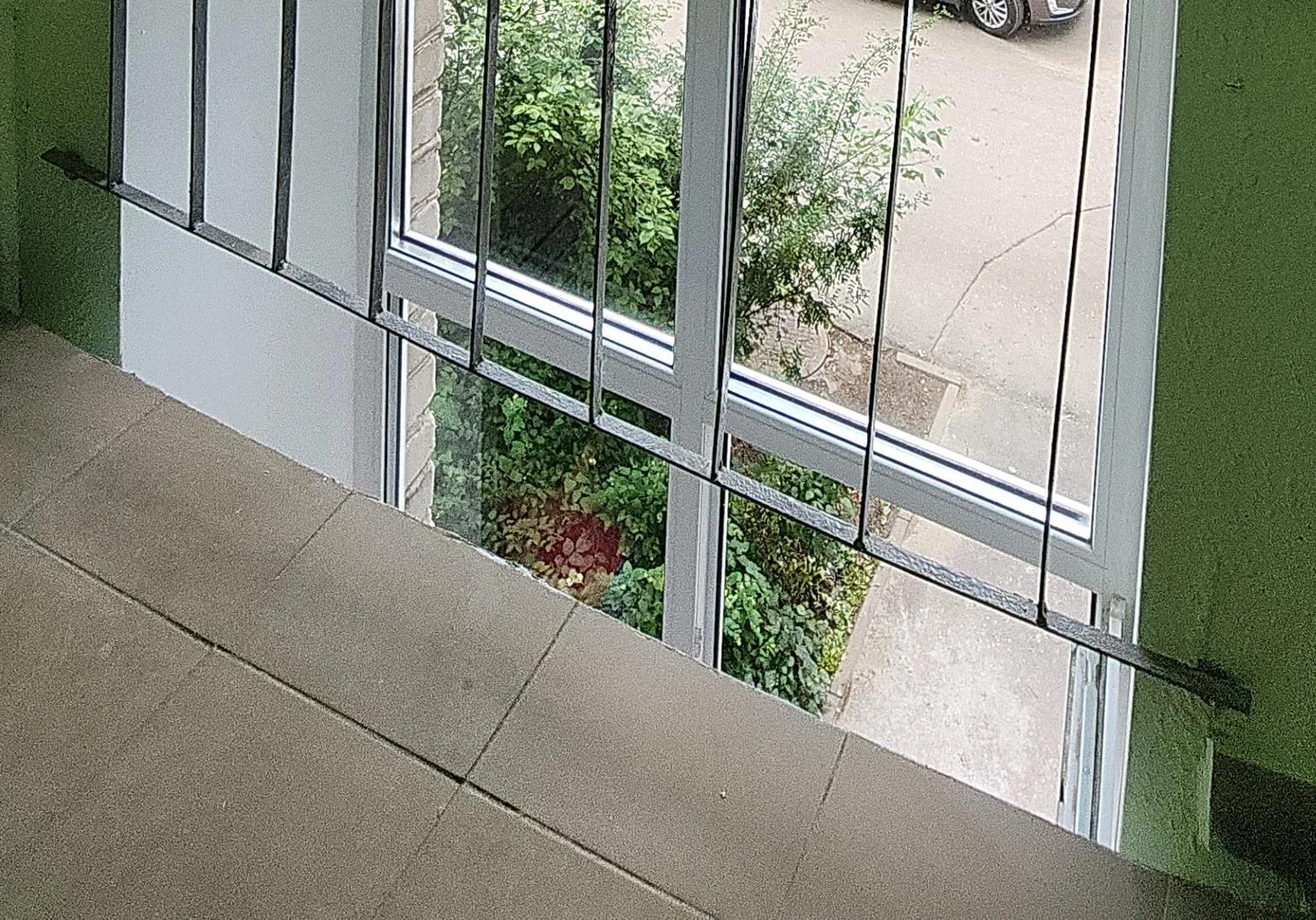 Фото: Нина Басистая