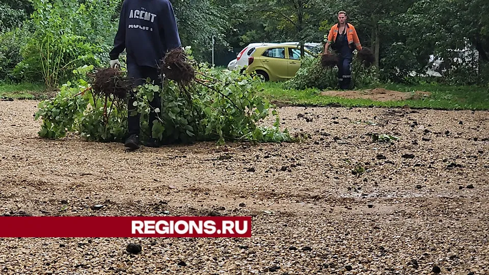 Фото: Никита Сморкалов