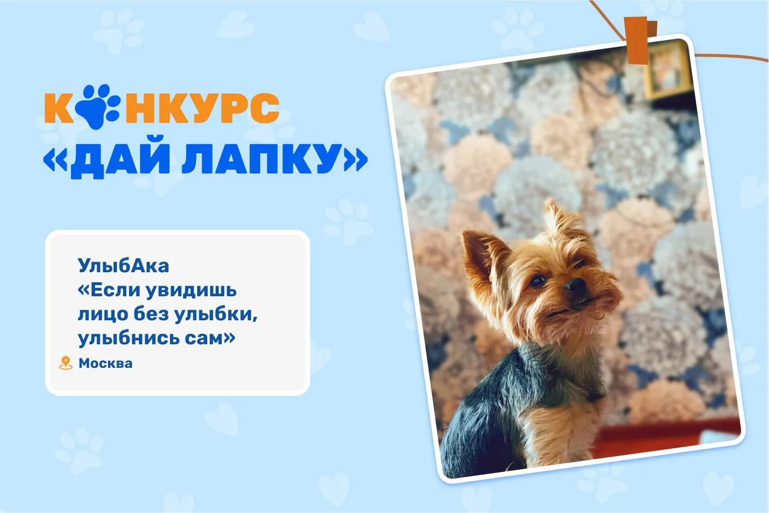 Фото: МосОблЕИРЦ