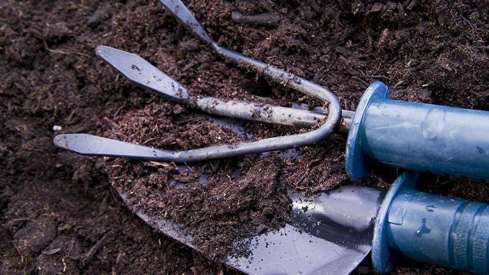 Фото: istockphoto.com/fotografiche