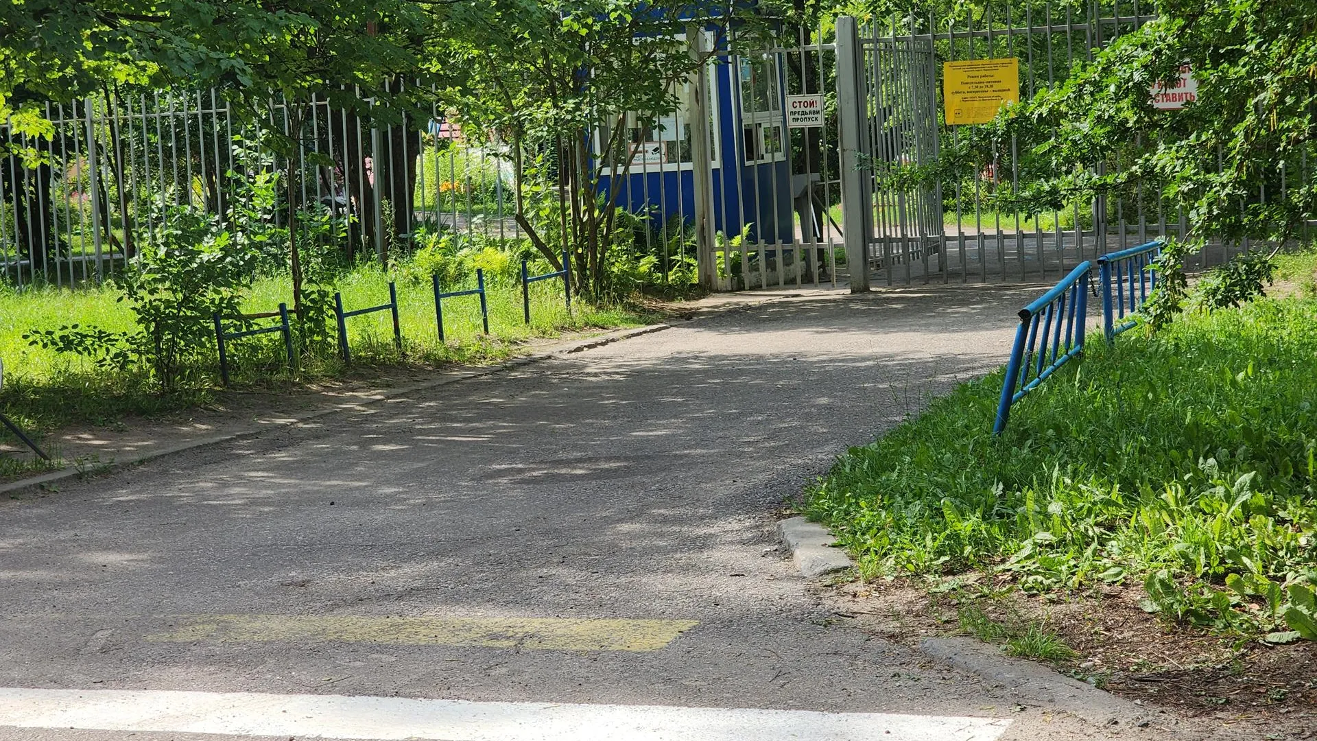 Фото: Иван Петрушин