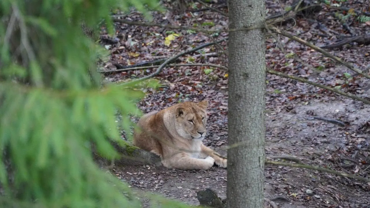Пресс-служба администрации Можайского муниципального округа