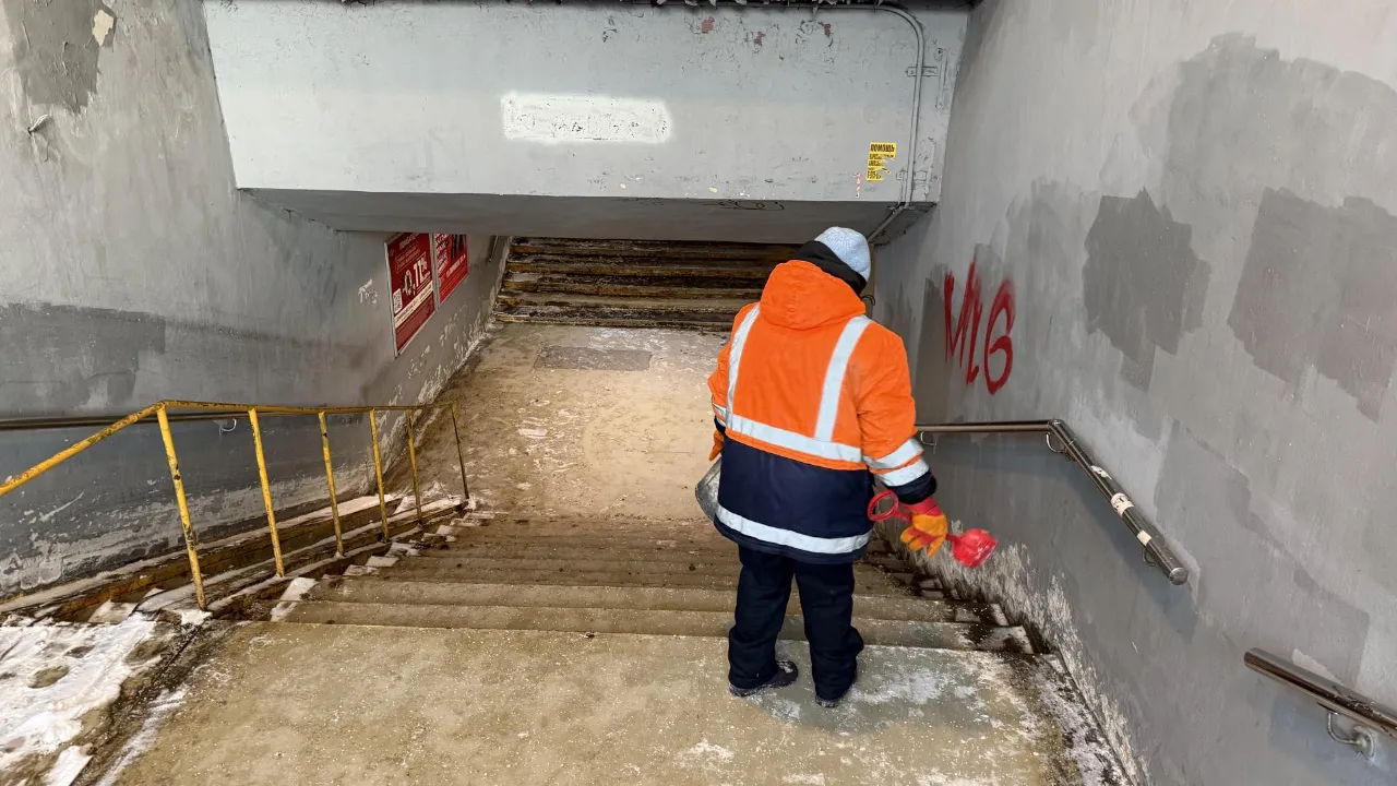 МедиаБанк Подмосковья/Анна Дука