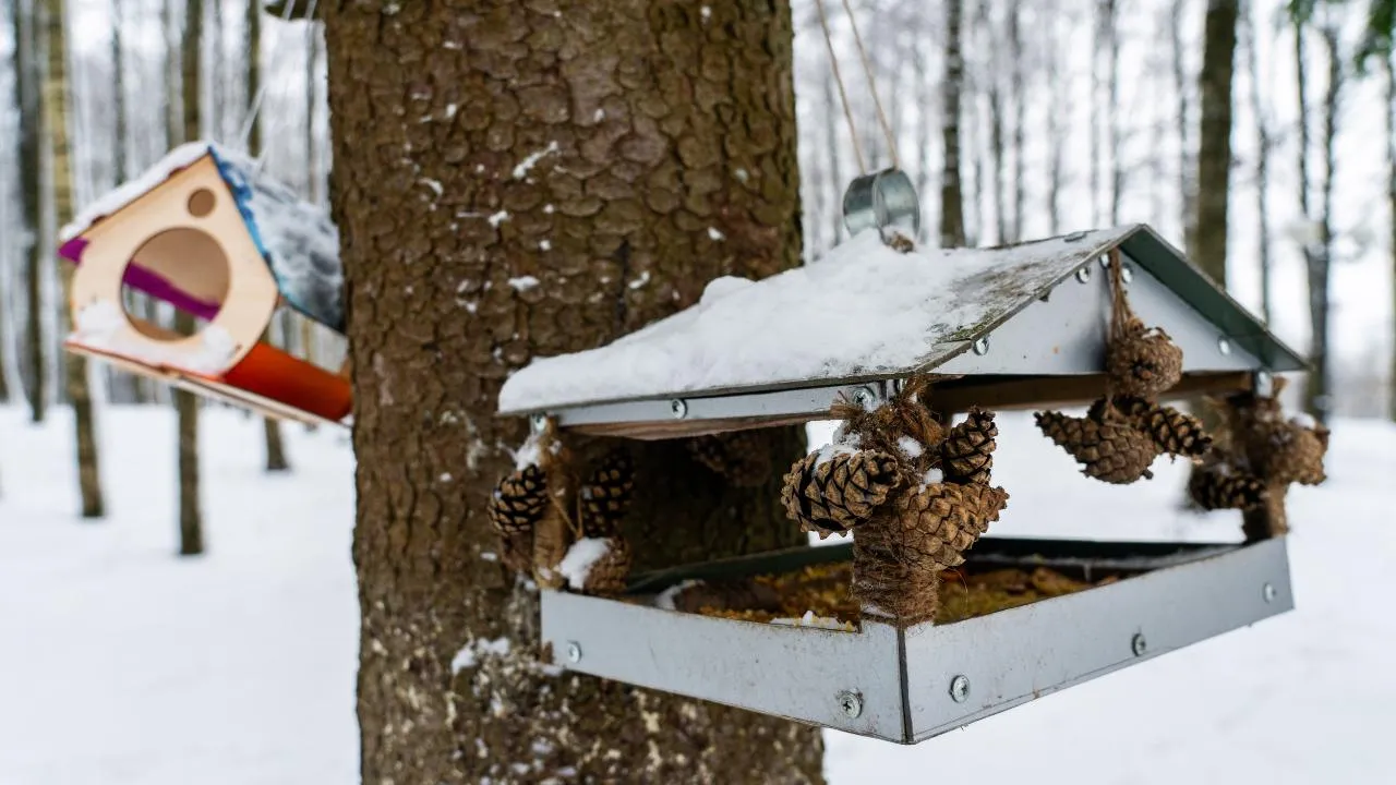 медиасток.рф