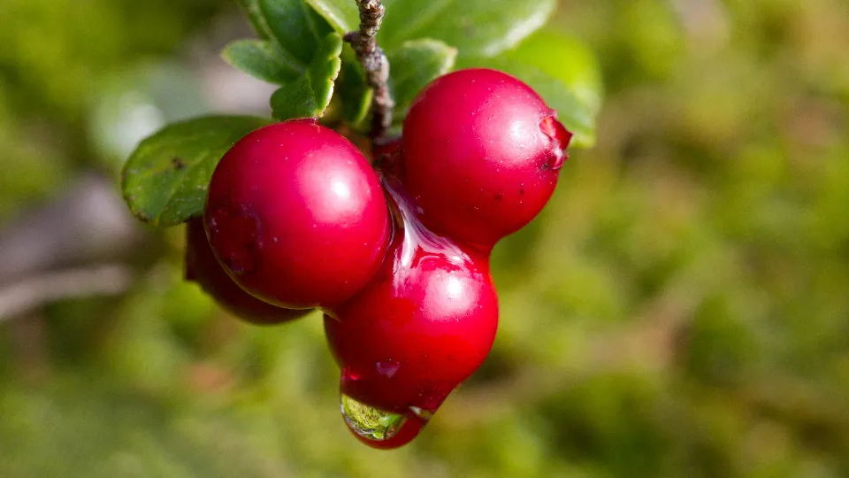 Фото: unsplash.com