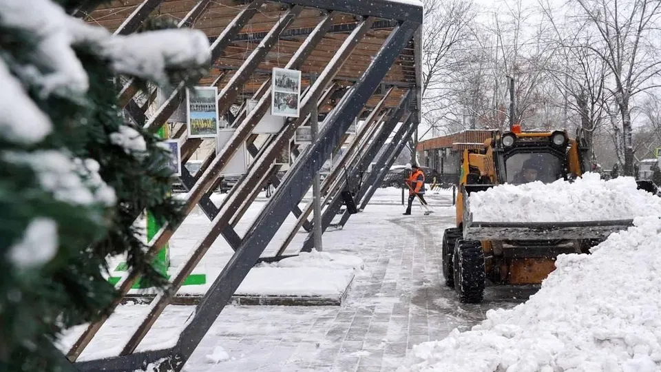 Фото: t.me/SoboleV_kotelniki