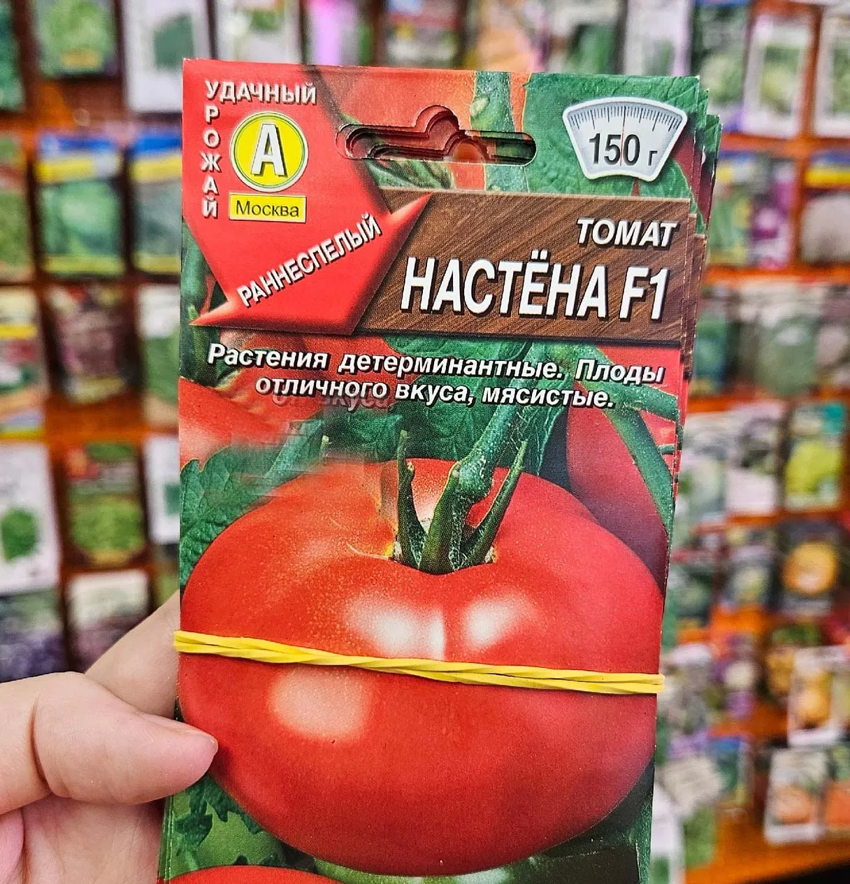 Фото: Садовый центр Мастера сада/Дмитров&nbsp;