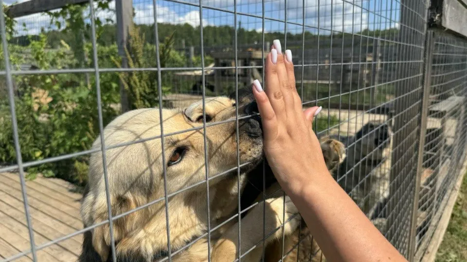 Фото: пресс-служба администрации Можайского округа